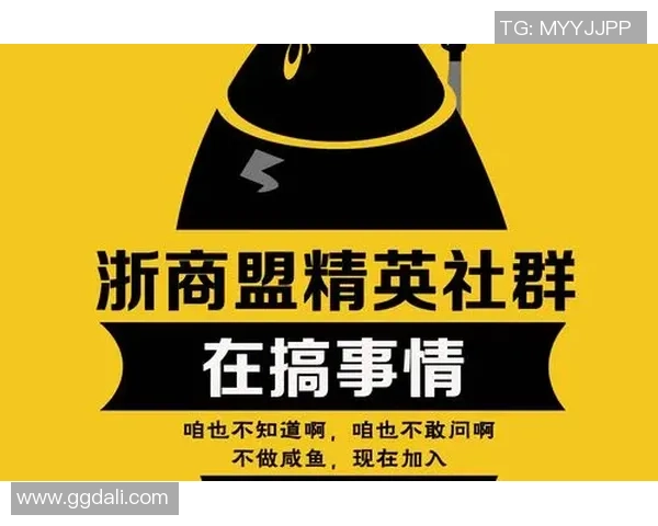 线上真人娱乐亚文化圈的术语梗与社群认同的形成与发展探析 线上真人娱乐亚文化圈的术语梗与社群认同的形成与发展探析